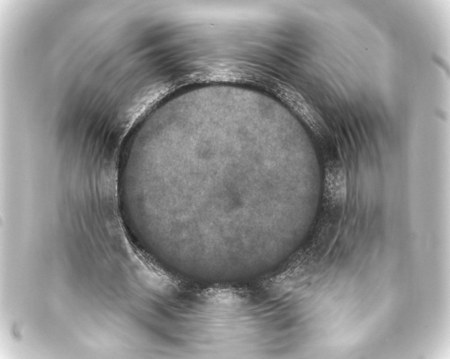 X0000093400534200711020937