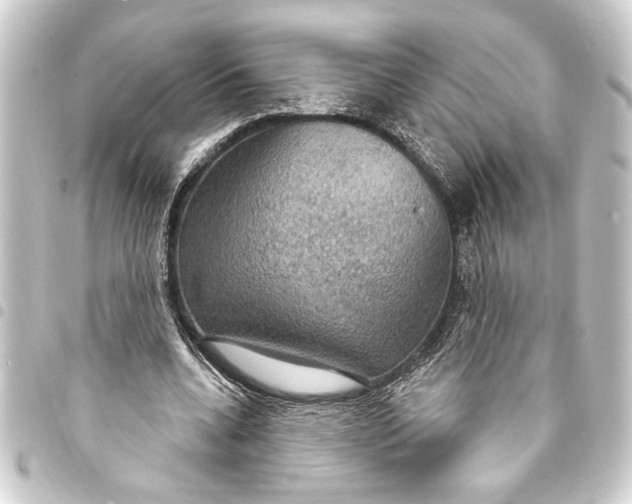 X0000093400536200711020937