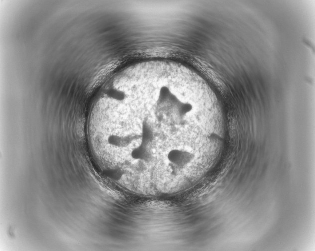 X0000093400537200711020937