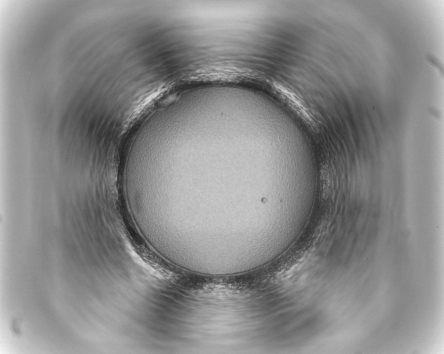 X0000093400538200711020937