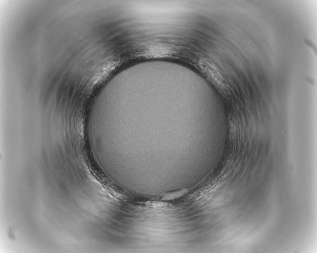 X0000093400539200711020937