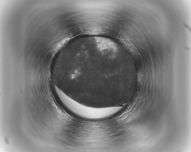 X0000093400540200711020937