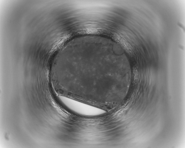 X0000093400542200711020937