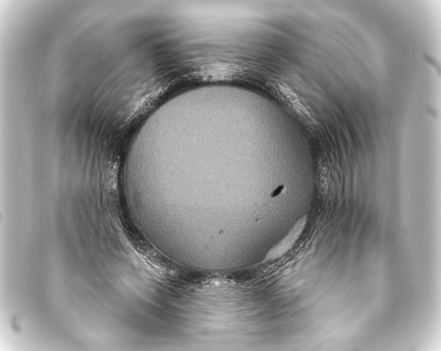 X0000093400543200711020937