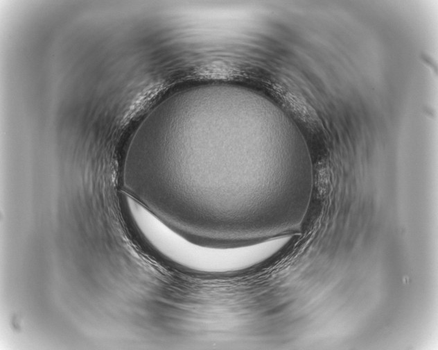 X0000093400544200711020937