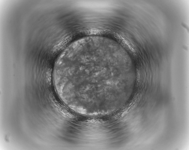 X0000093400545200711020937