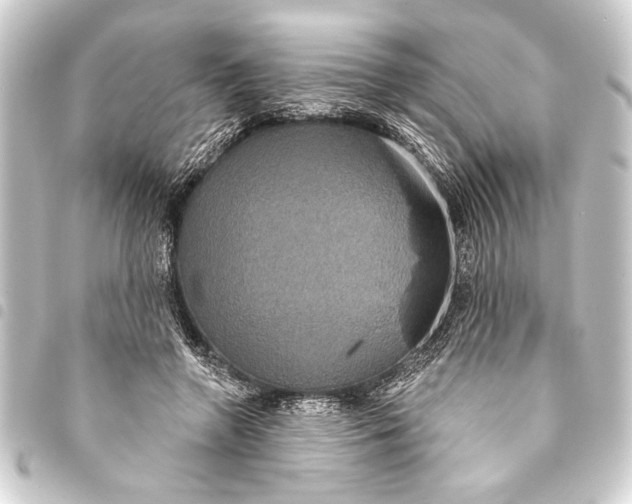 X0000093400546200711020937