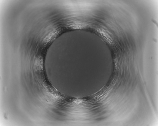 X0000093400547200711020937