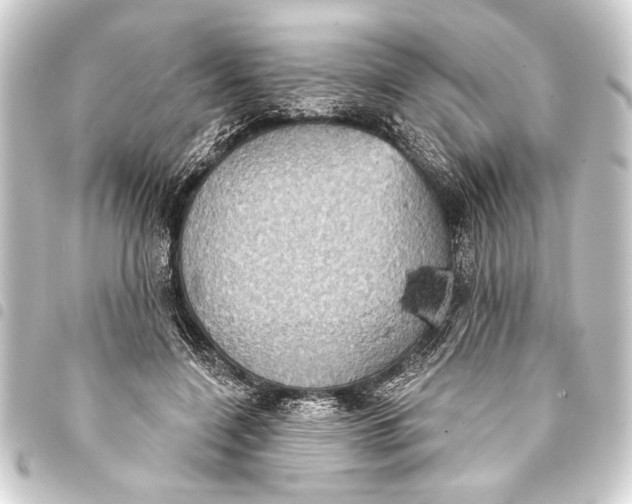 X0000093400548200711020937