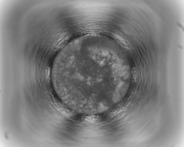 X0000093400550200711020937