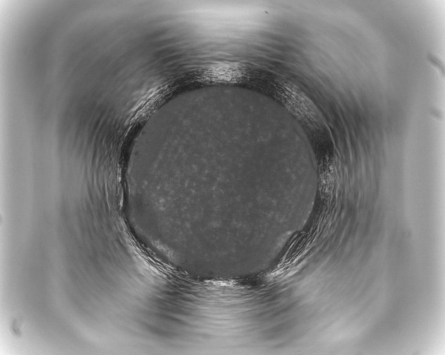 X0000093400552200711020937