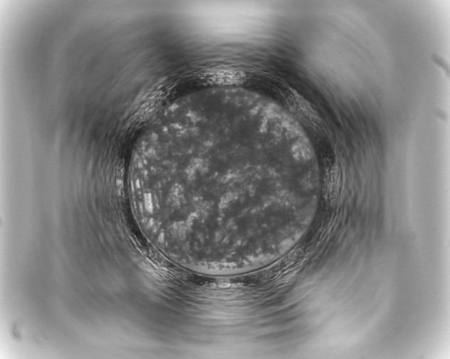 X0000093400553200711020937