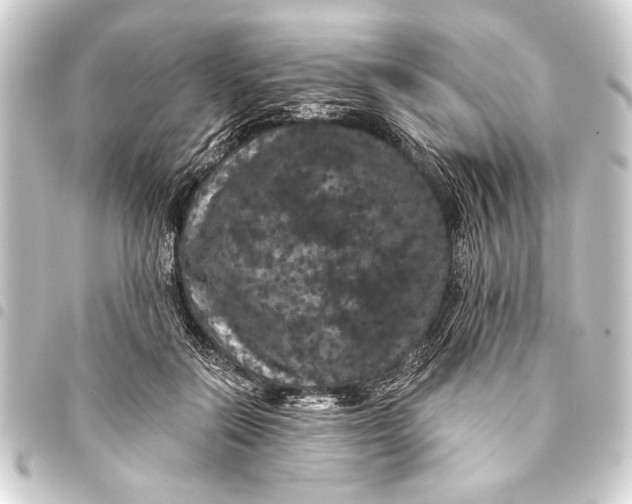 X0000093400554200711020937