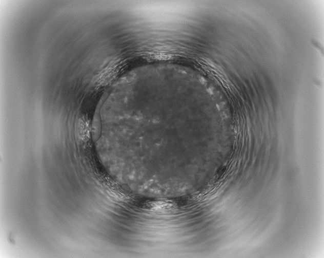 X0000093400555200711020937