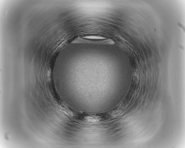 X0000093400556200711020937