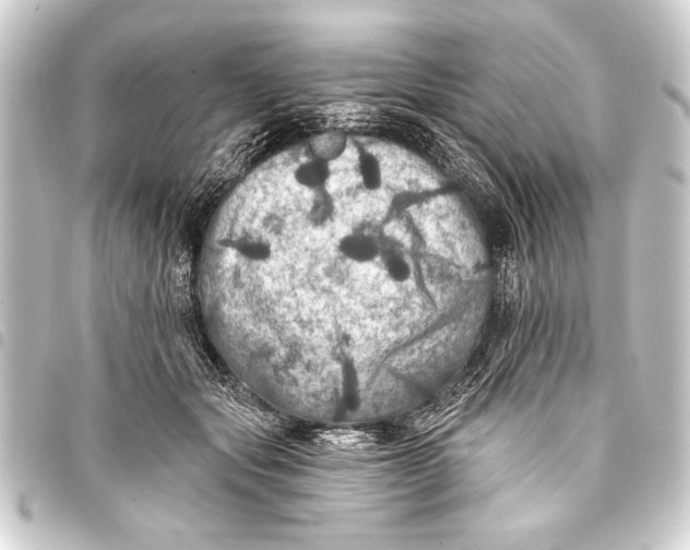 X0000093400557200711020937