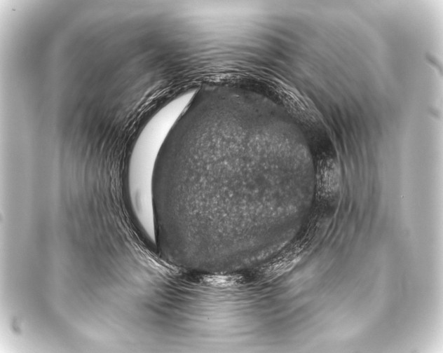 X0000093400558200711020937