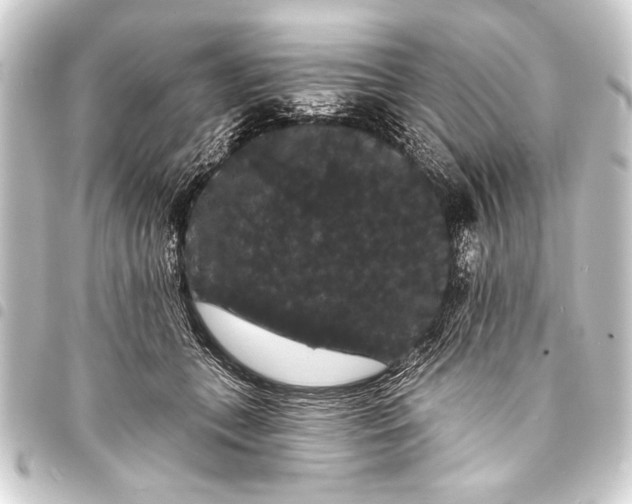 X0000093400559200711020937