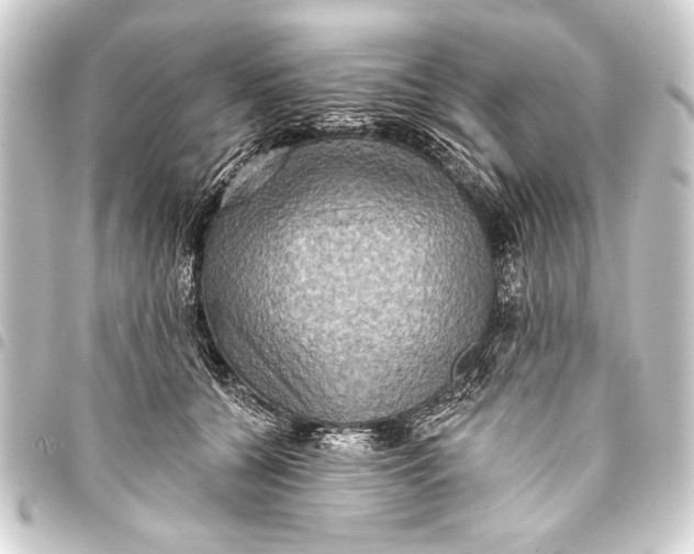 X0000093400560200711020937