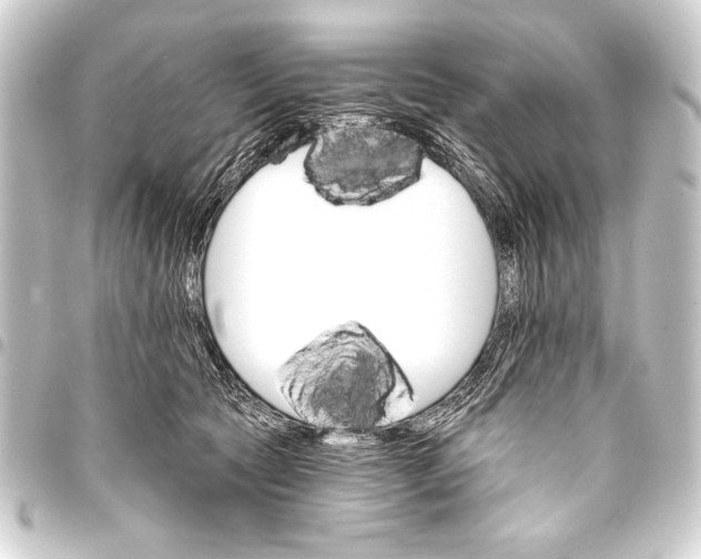 X0000093400561200711020937