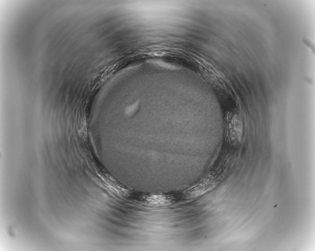 X0000093400562200711020937