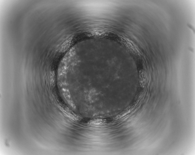 X0000093400563200711020937