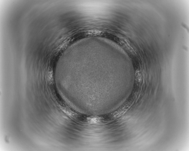 X0000093400564200711020937