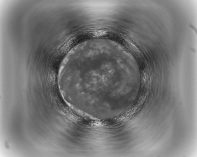 X0000093400565200711020937