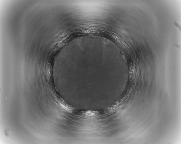 X0000093400566200711020937