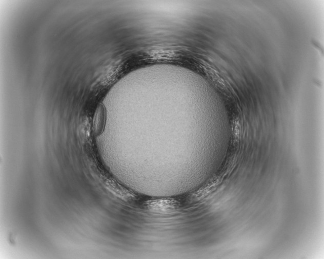 X0000093400567200711020937