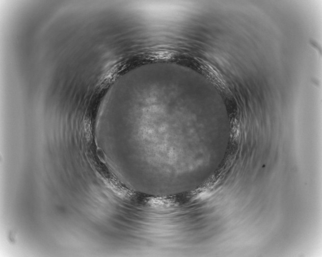 X0000093400568200711020937