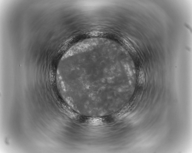 X0000093400569200711020937