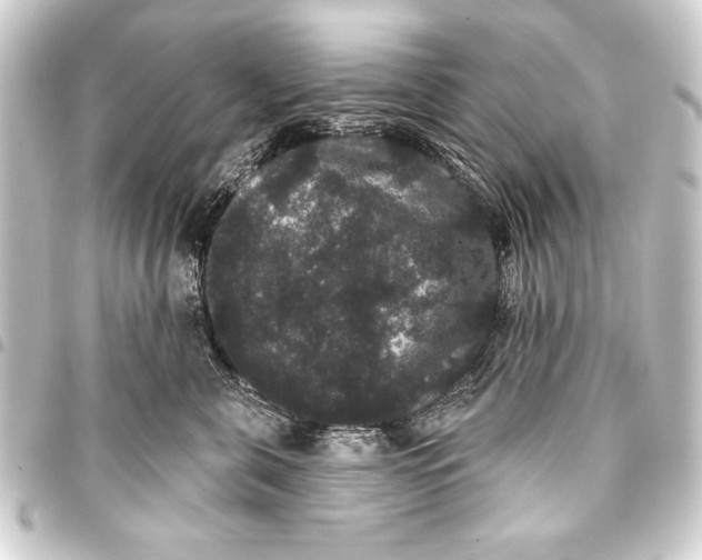 X0000093400571200711020937