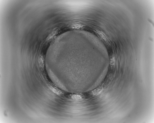 X0000093400572200711020937