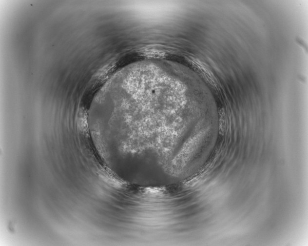 X0000093400573200711020937