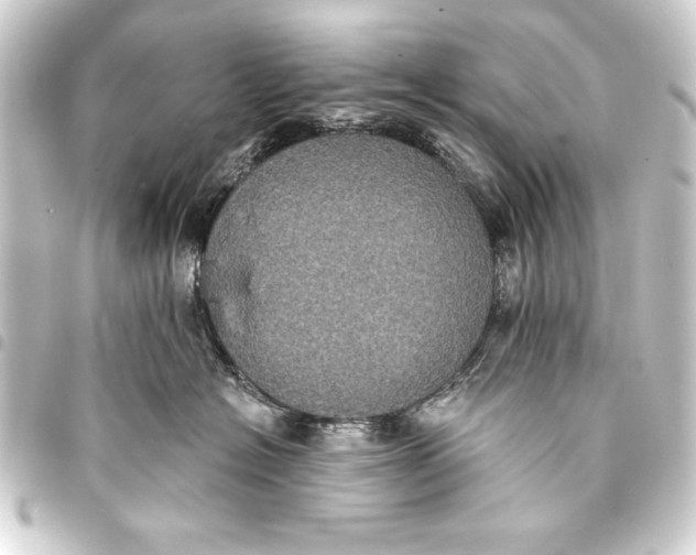 X0000093400574200711020937