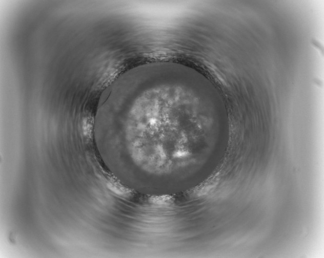 X0000093400576200711020937