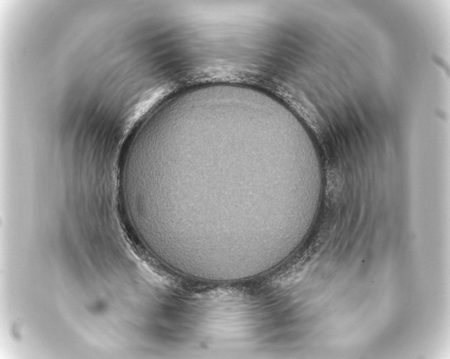 X0000093400578200711020937