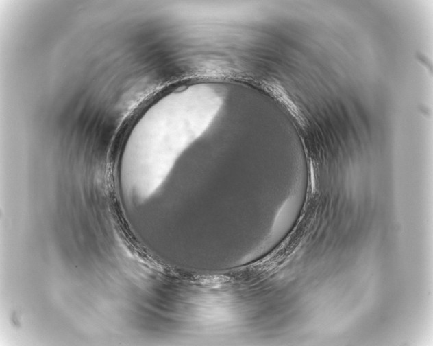 X0000093400579200711020937