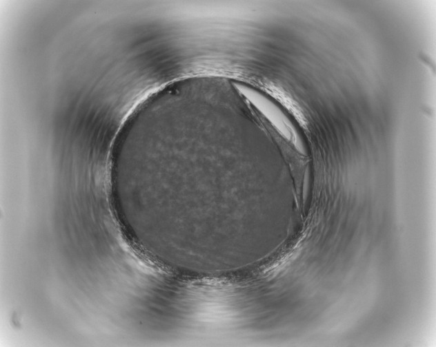 X0000093400580200711020937