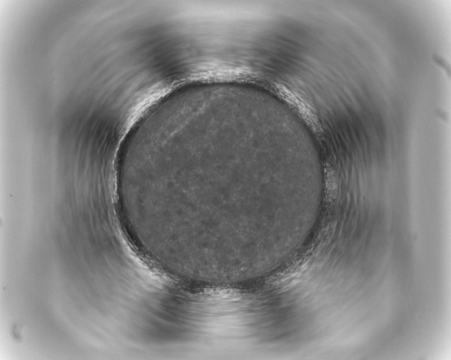 X0000093400582200711020937