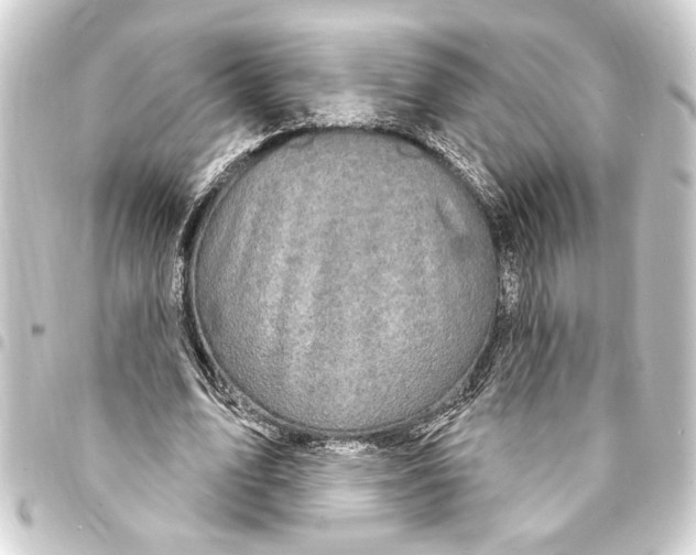 X0000093400583200711020937