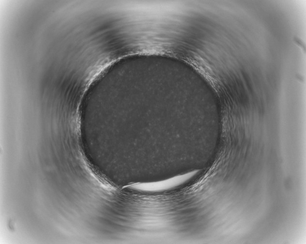 X0000093400584200711020937