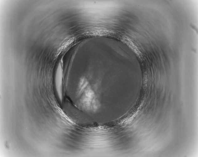 X0000093400585200711020937