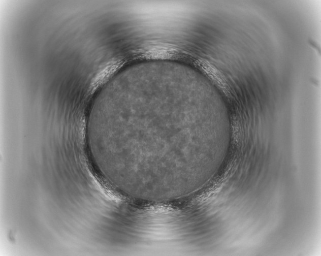 X0000093400586200711020937