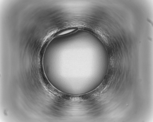 X0000093400587200711020937