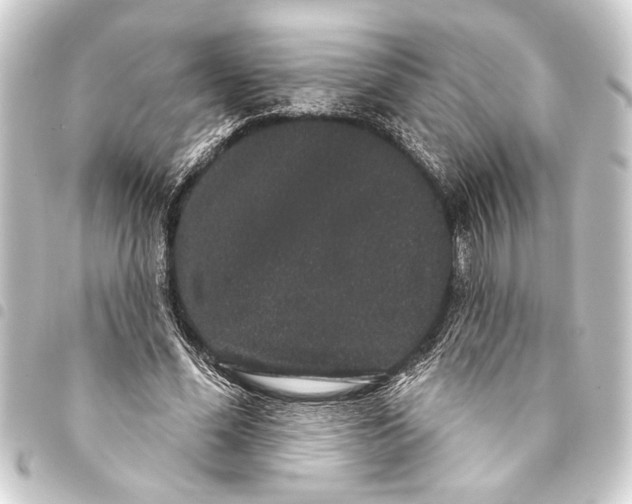 X0000093400588200711020936