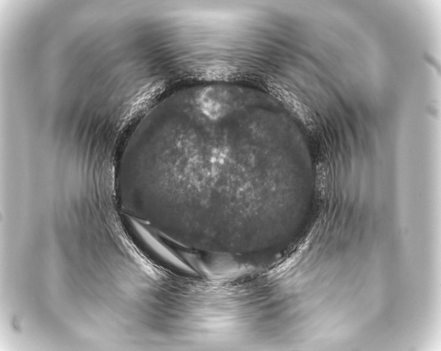 X0000093400589200711020936