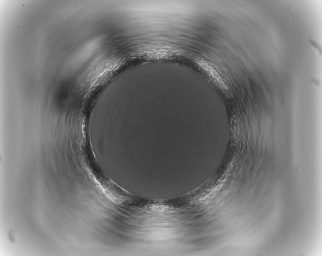 X0000093400590200711020936