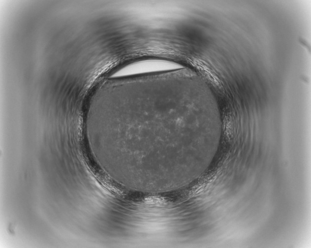 X0000093400591200711020936